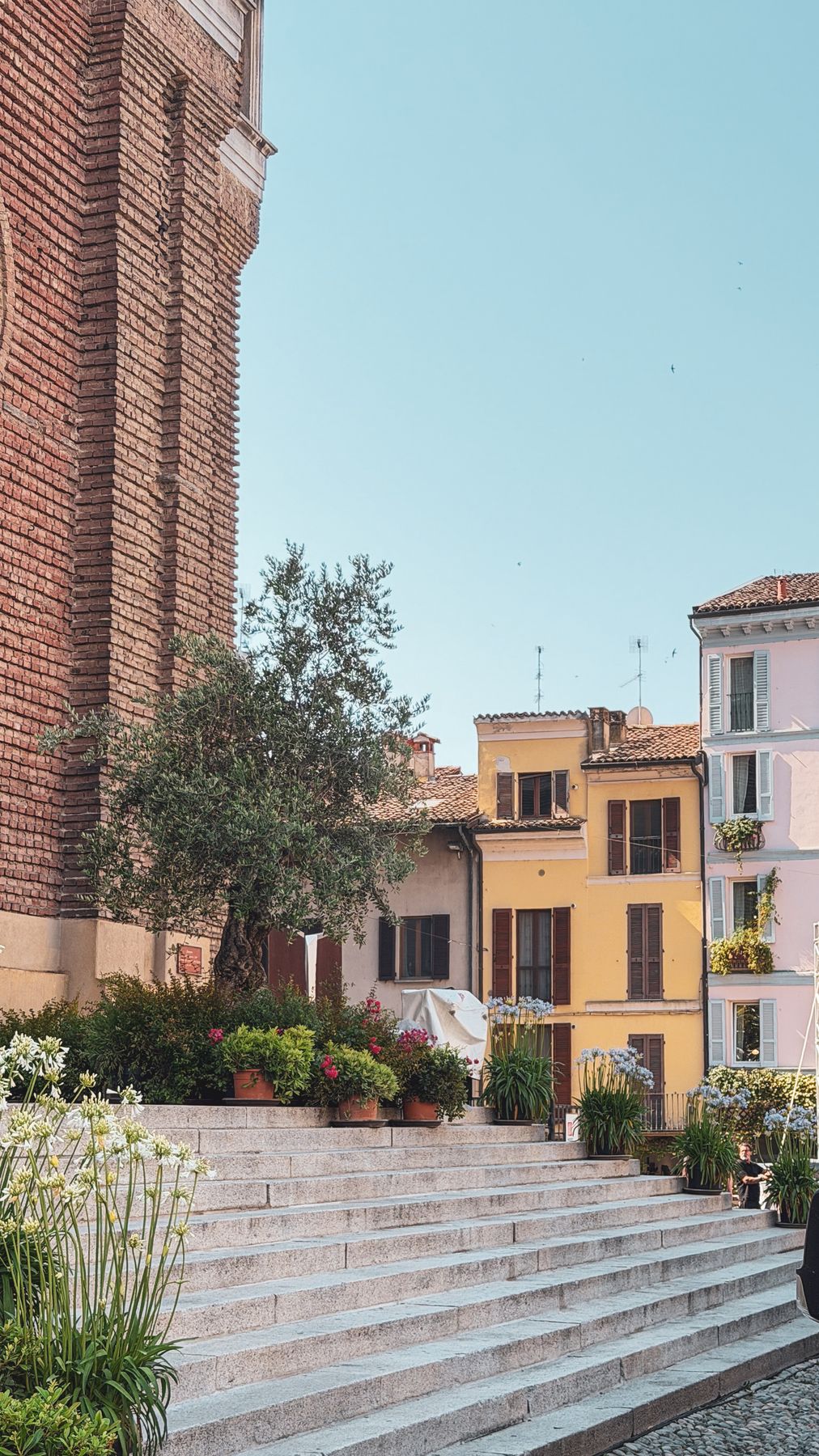 Allestimento floreale sulle scale della chiesa a Pavia