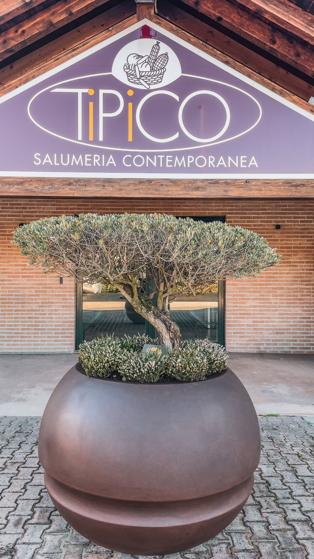 Allestimento con ulivo davanti a Tipico Salumeria Contemporanea