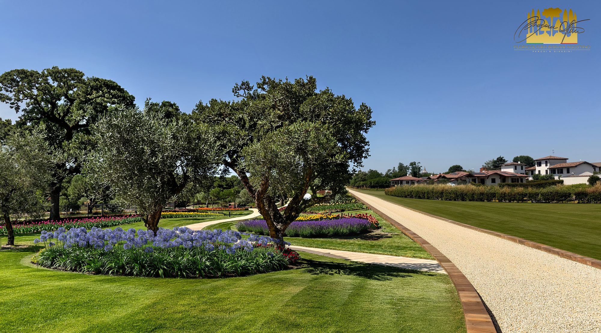 Render di un giardino progettato