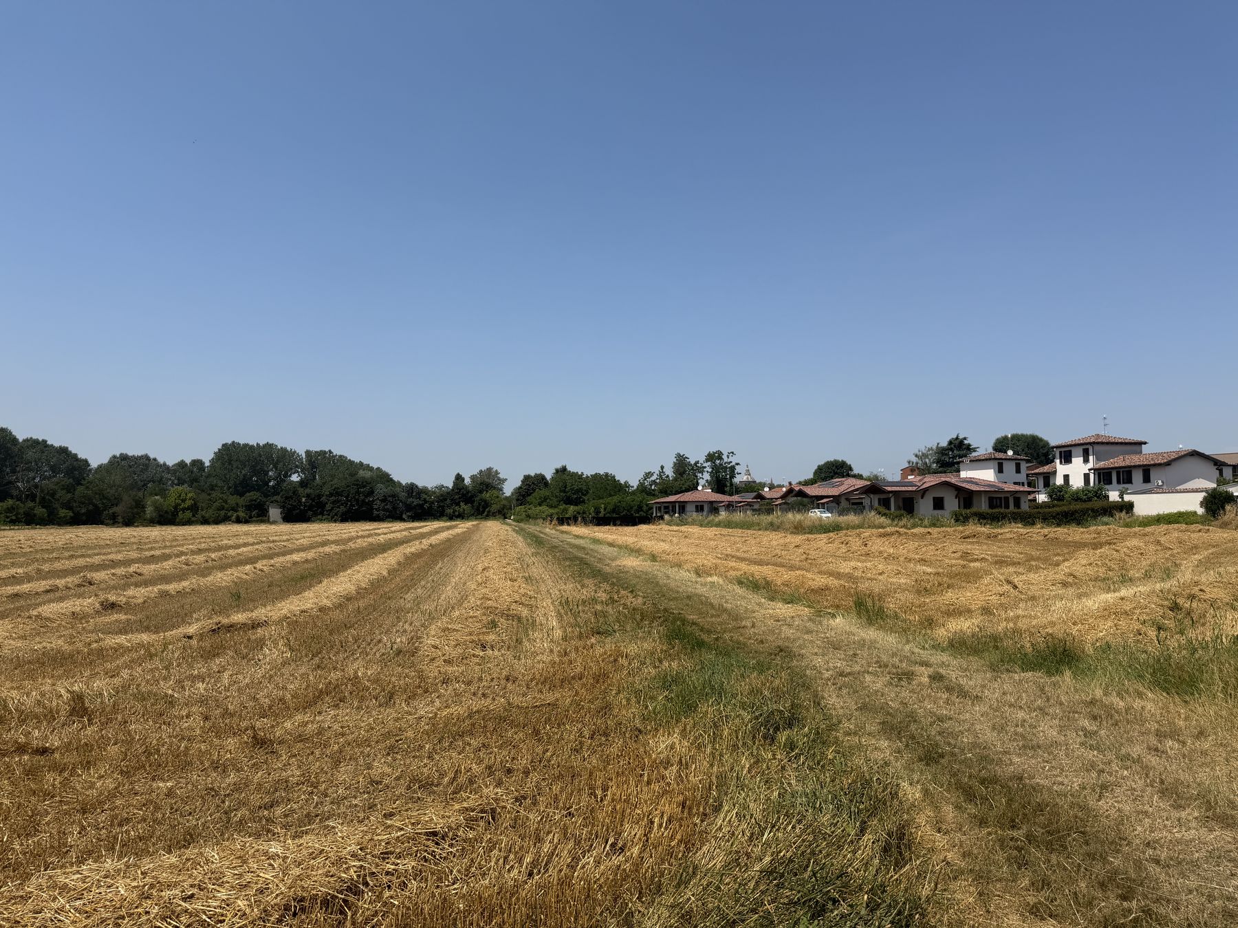 Terreno nello stato iniziale