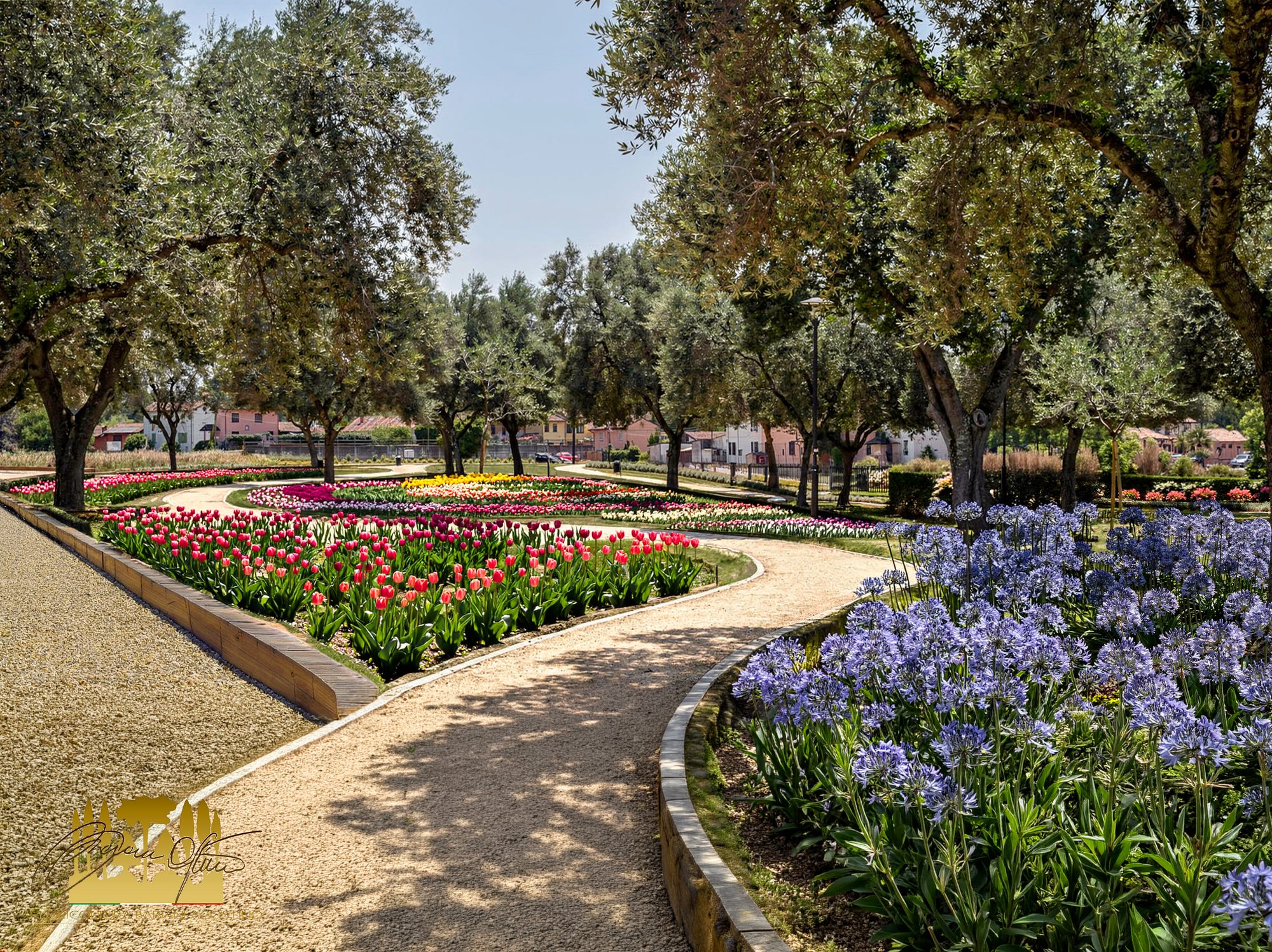 Render del parco fiorito progettato