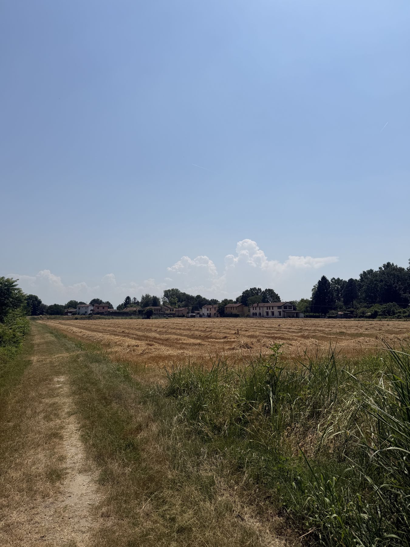 Terreno prima della realizzazione del parco