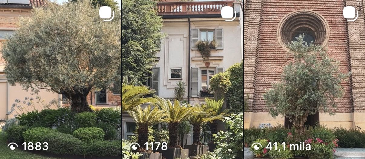 Le ultime tre pubblicazioni Instagram di Floricoltura Bariani Agostino