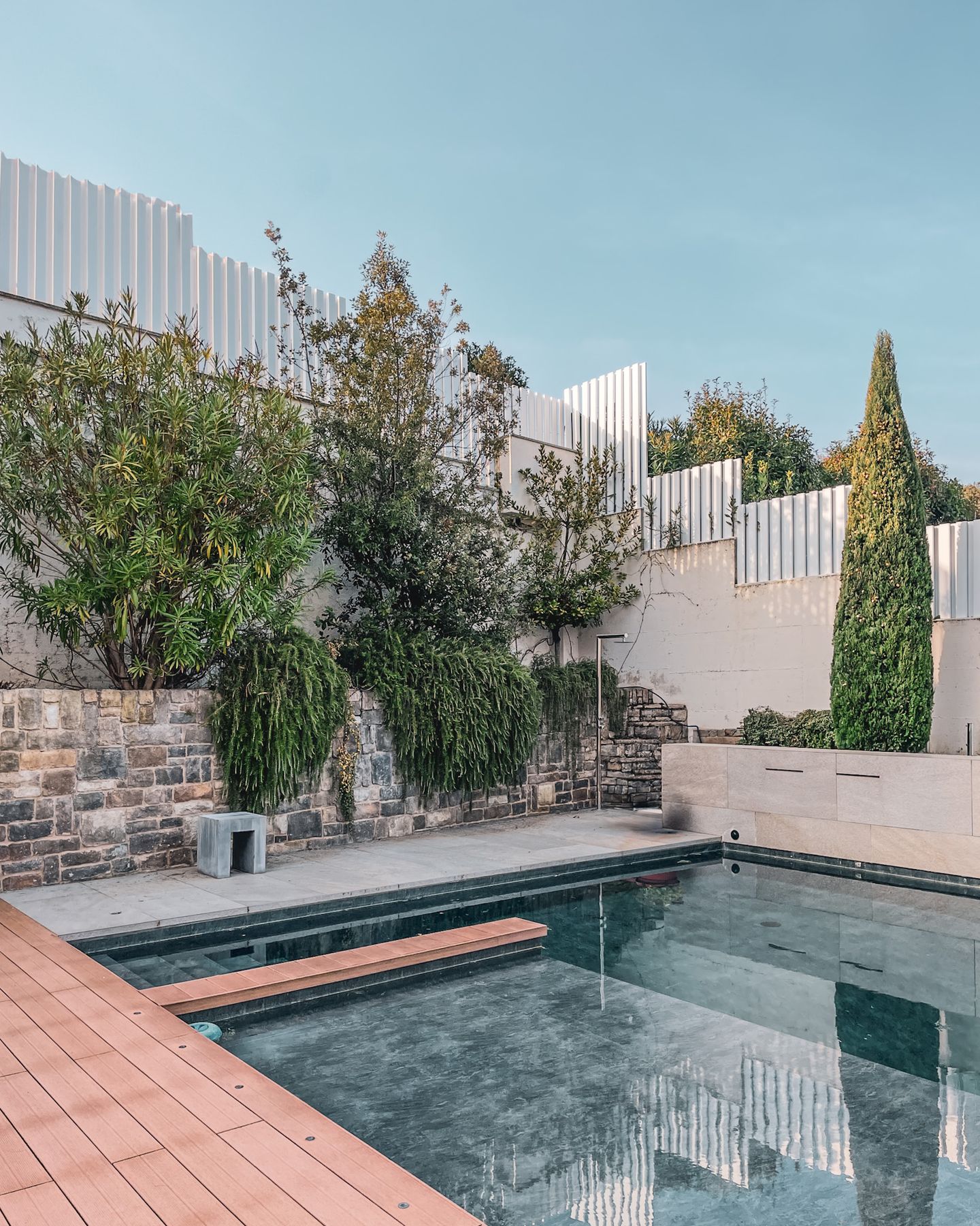 Piscina con vegetazione e pietra