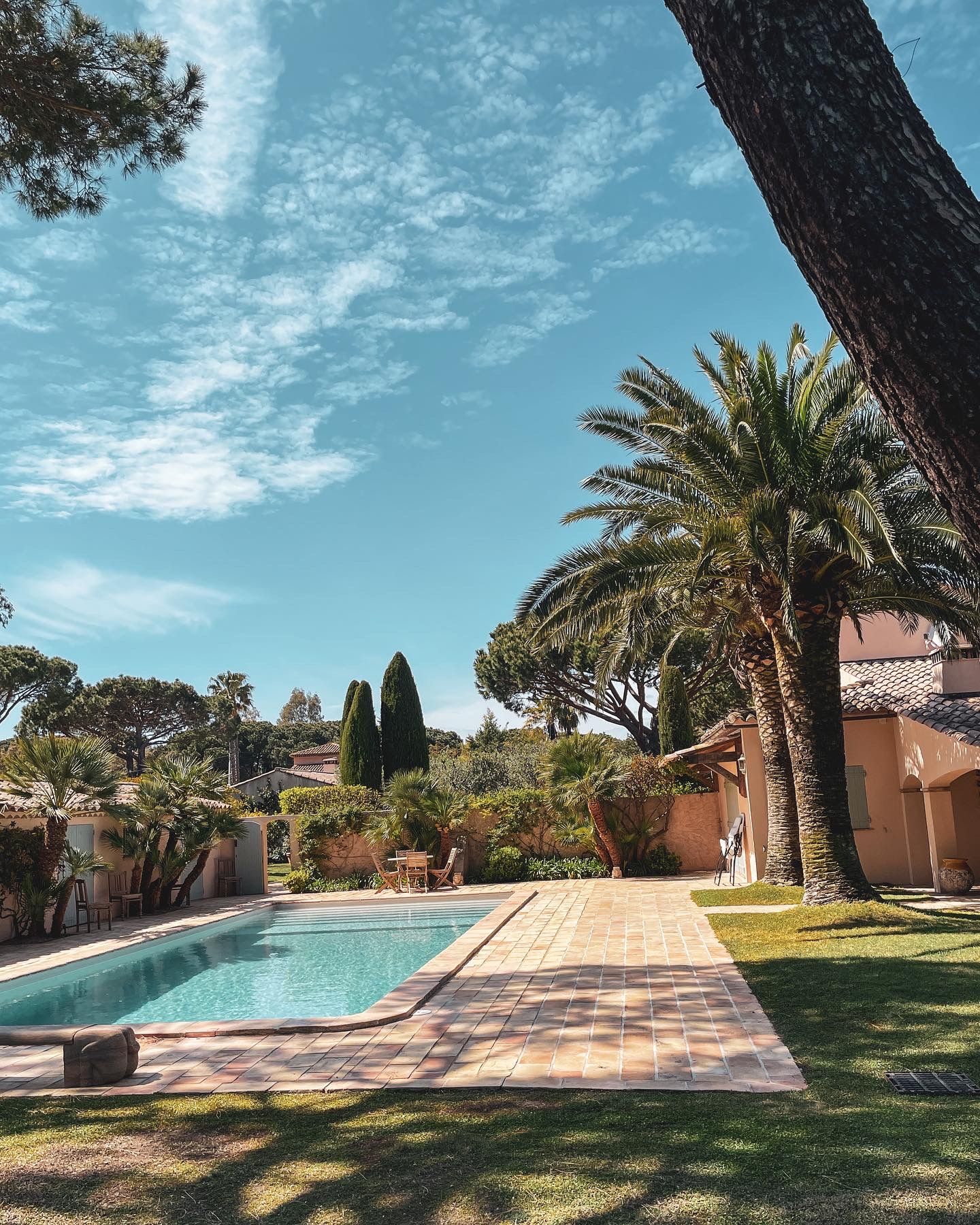Piscina con palme e giardino mediterraneo
