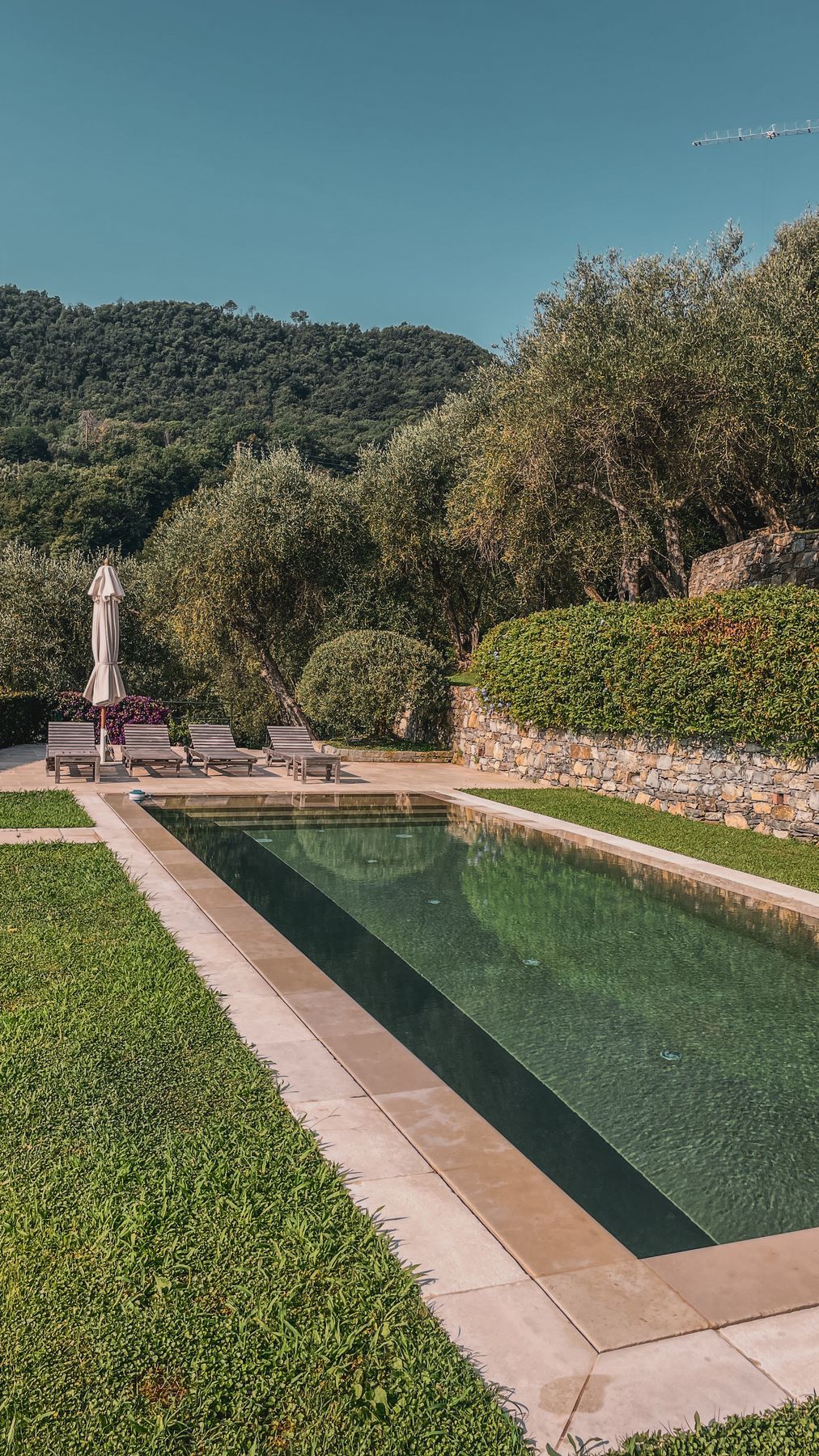 Piscina immersa tra ulivi e paesaggio mediterraneo