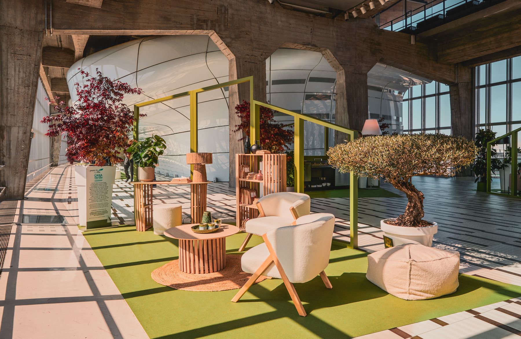 Spazio arredato con ulivo e piante decorative